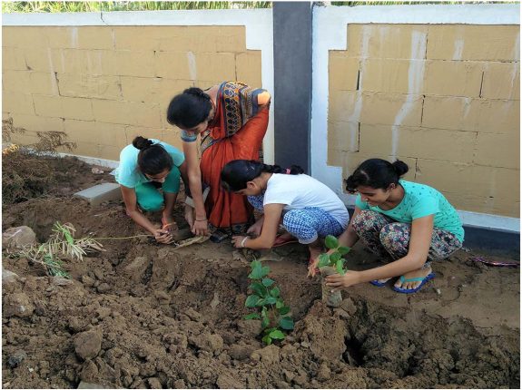 12 Tree Plantation Drive in Girls Hostel Kota