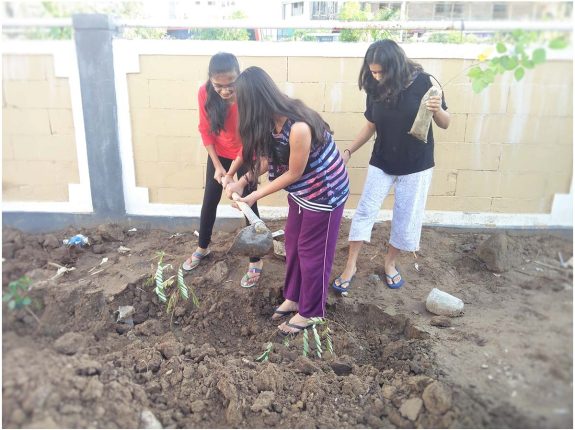 13 Tree Plantation Drive in Girls Hostel Kota