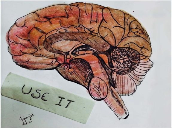 31 Arts Competition in Girls Hostel Kota