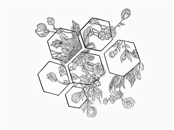 34 Sketching Competition in Girls Hostel Kota